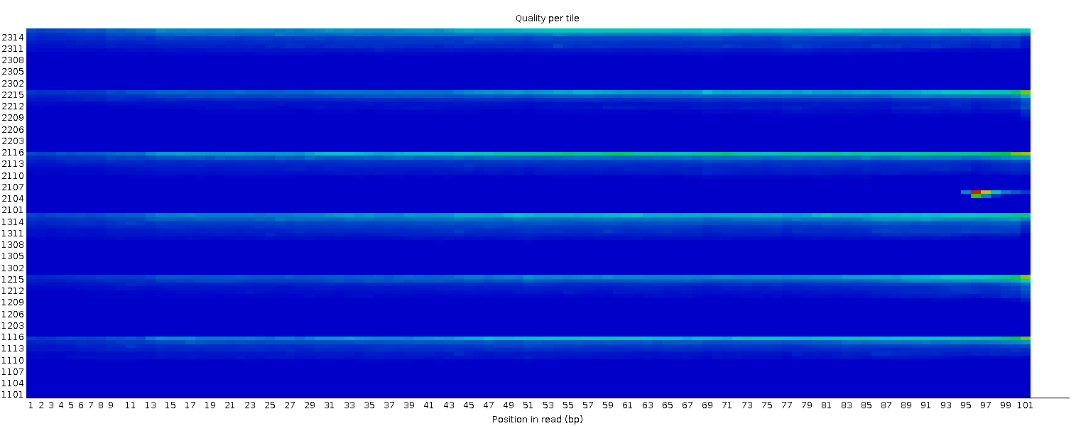 Per tile sequence quality with horizontal lines. 