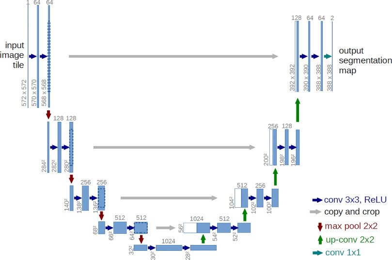 Unet architecture. 