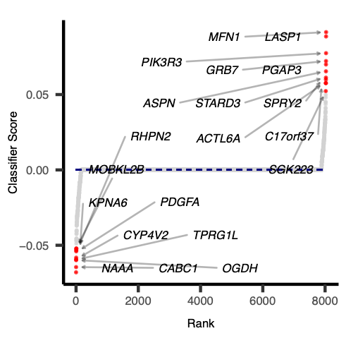 PI3K_OG Classifier Coefficients. 