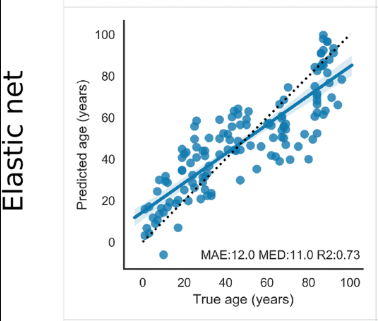 rna_seq_age_paper. 