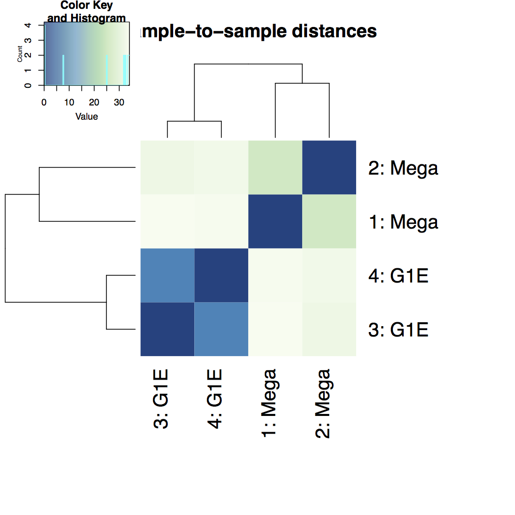 Heatmap of sample-to-sample distance matrix. 