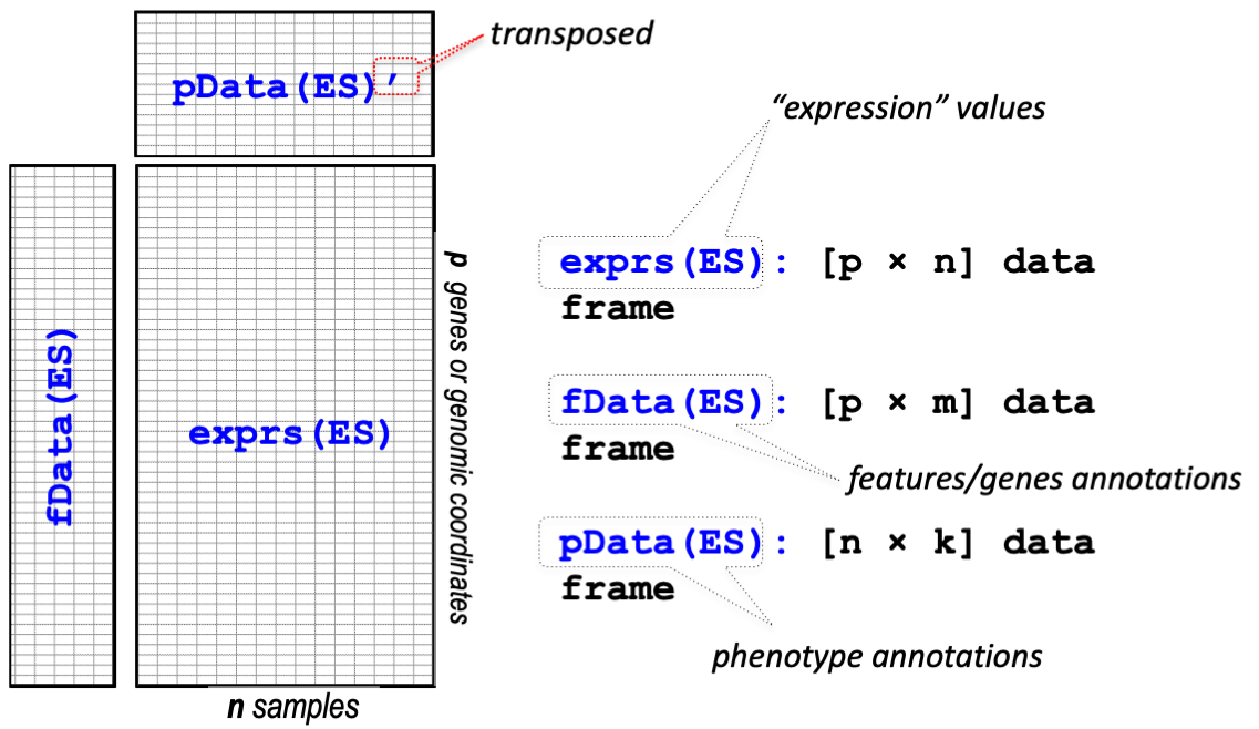 expression_set. 