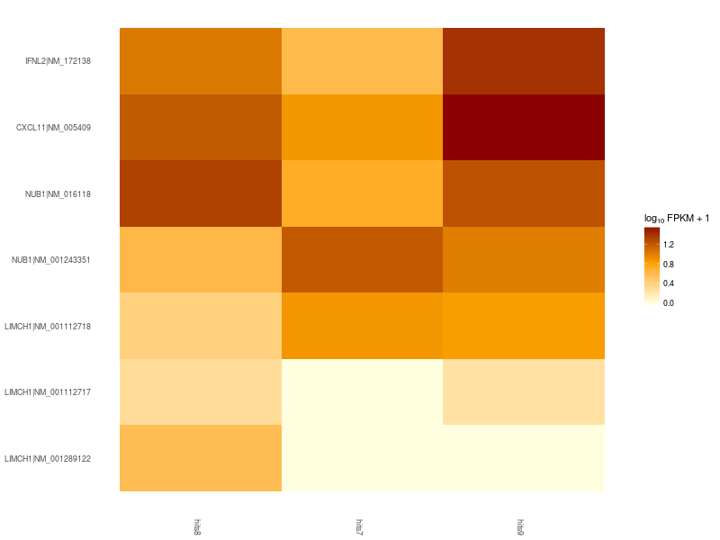 Expression bar plot. 