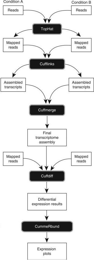 Trapnell et al, Nat Protoc, 2012