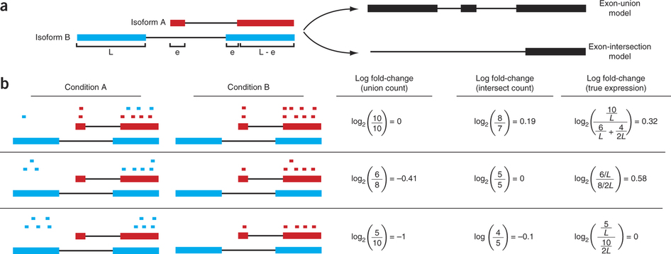 Differential expression: Read counts and Expression levels. 