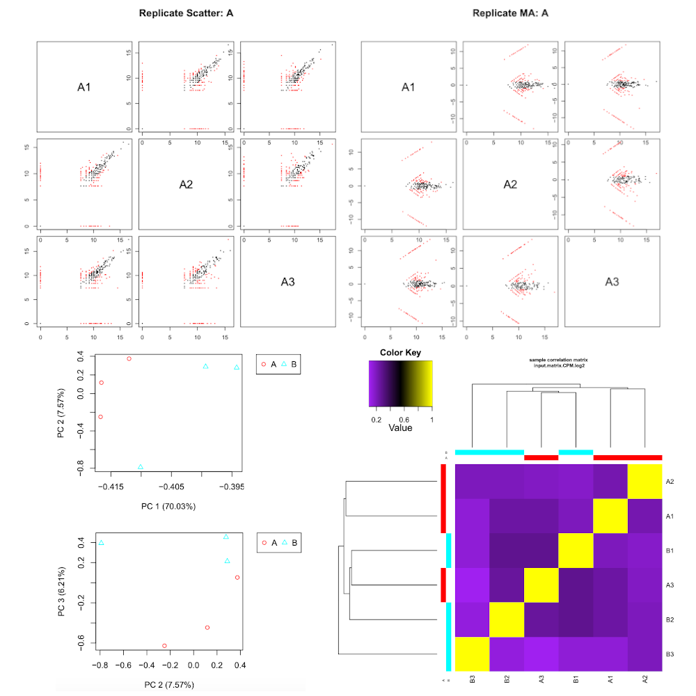 RNASeq samples quality check Graphs. 