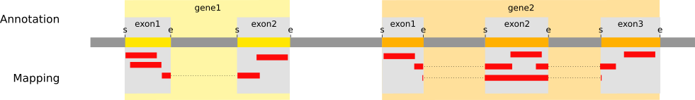 Counting the number of reads per annotated gene. 