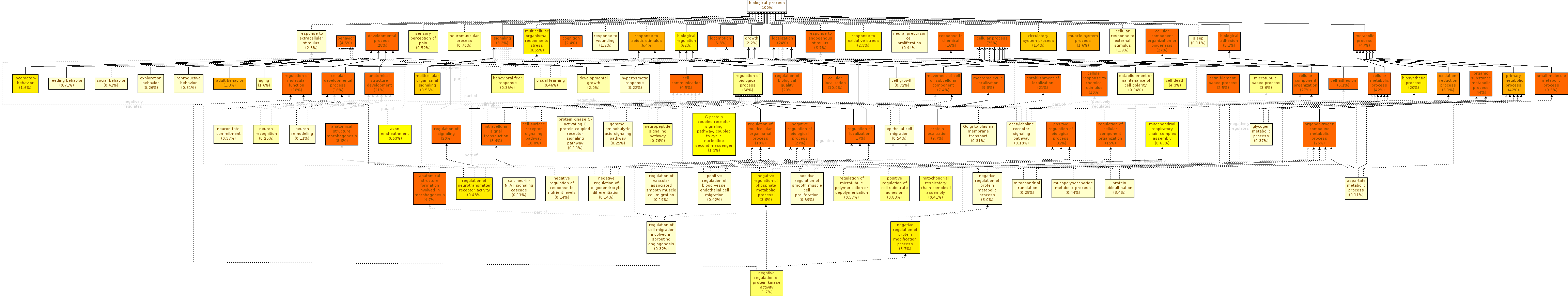 GO Enrichment Mouse Diff Summarize BP. 