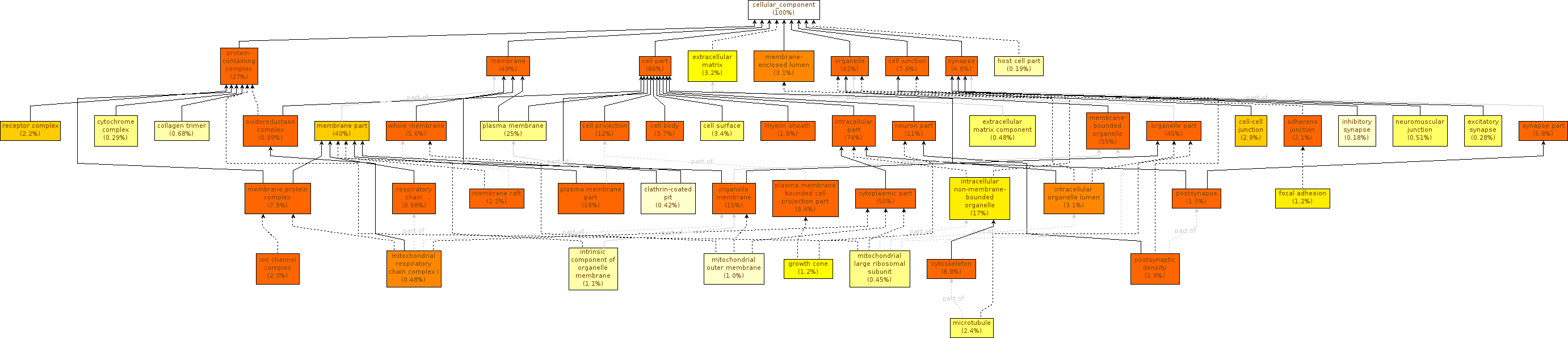 GO Enrichment Mouse Summarize CC. 