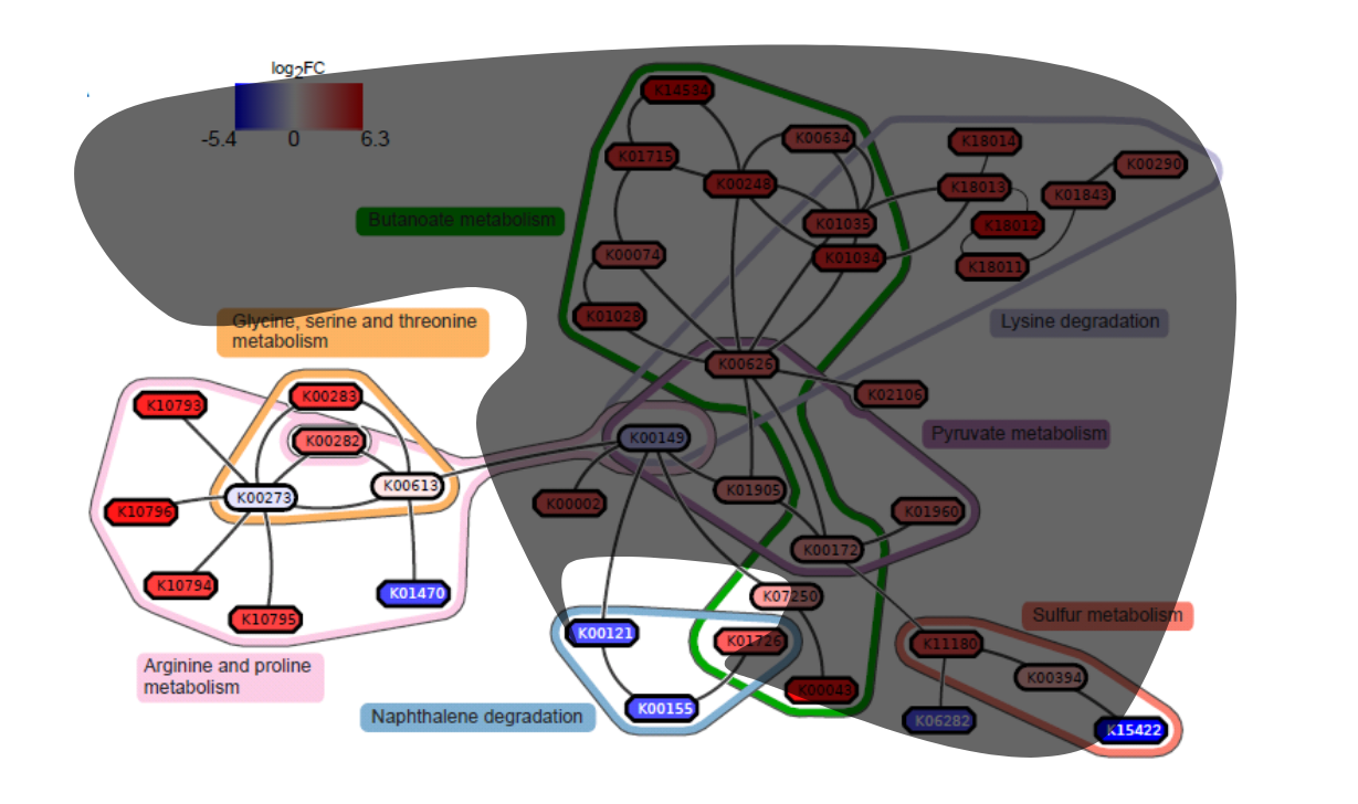 A large graph shown mostly in dark grey, several sub-graphs are highlighted in colour.