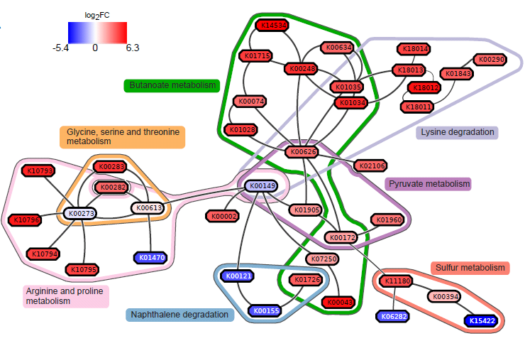 results subnetworks