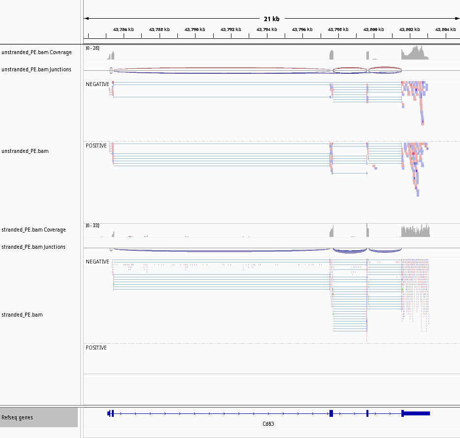 Screenshot of the IGV for stranded vs non-stranded. 