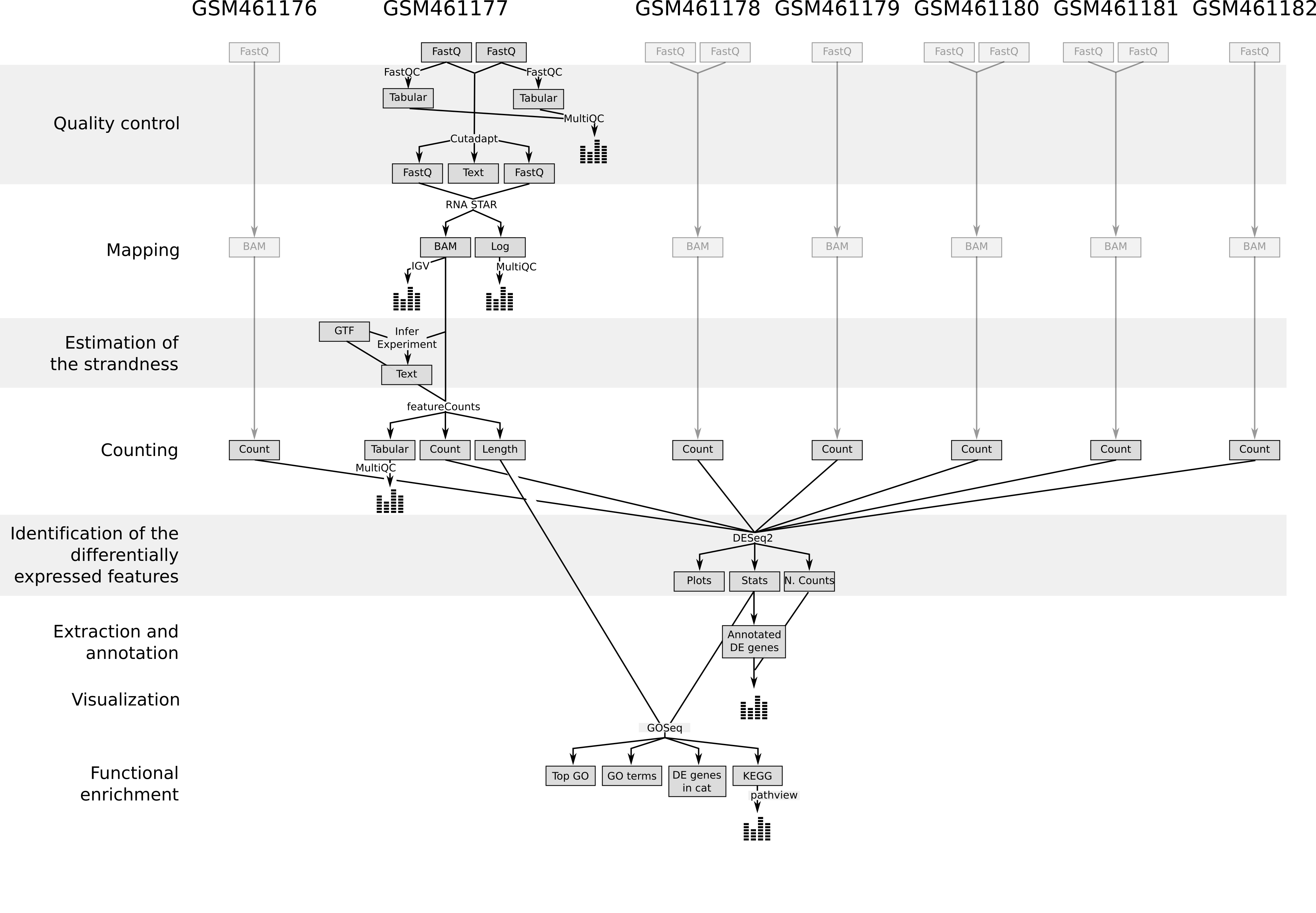 Summary of the analysis pipeline used. 