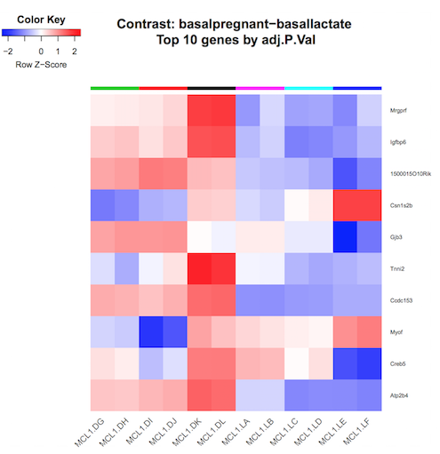 Heatmap. 