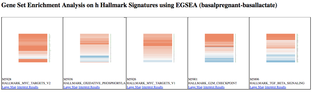 EGSEA heatmaps. 