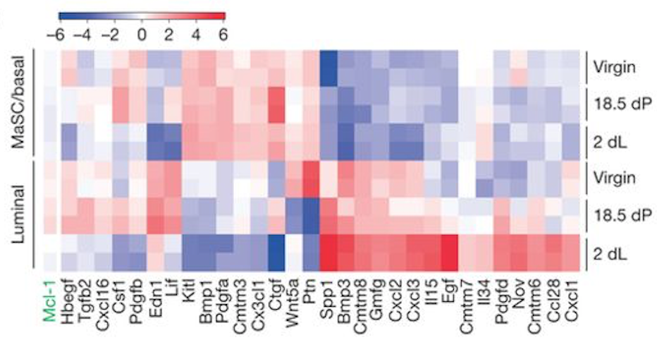 Fu heatmap. 