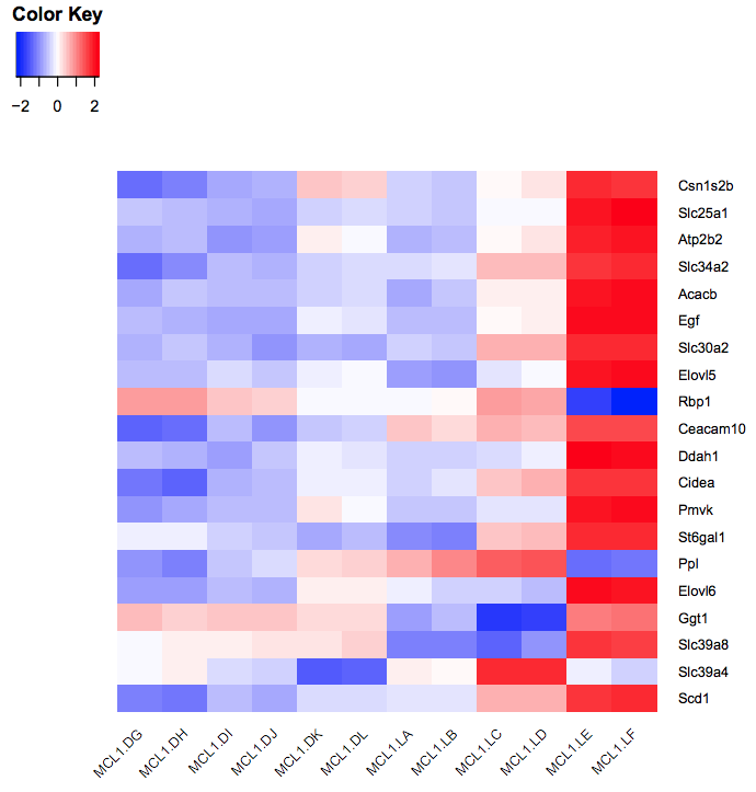 Heatmap of top DE genes. 