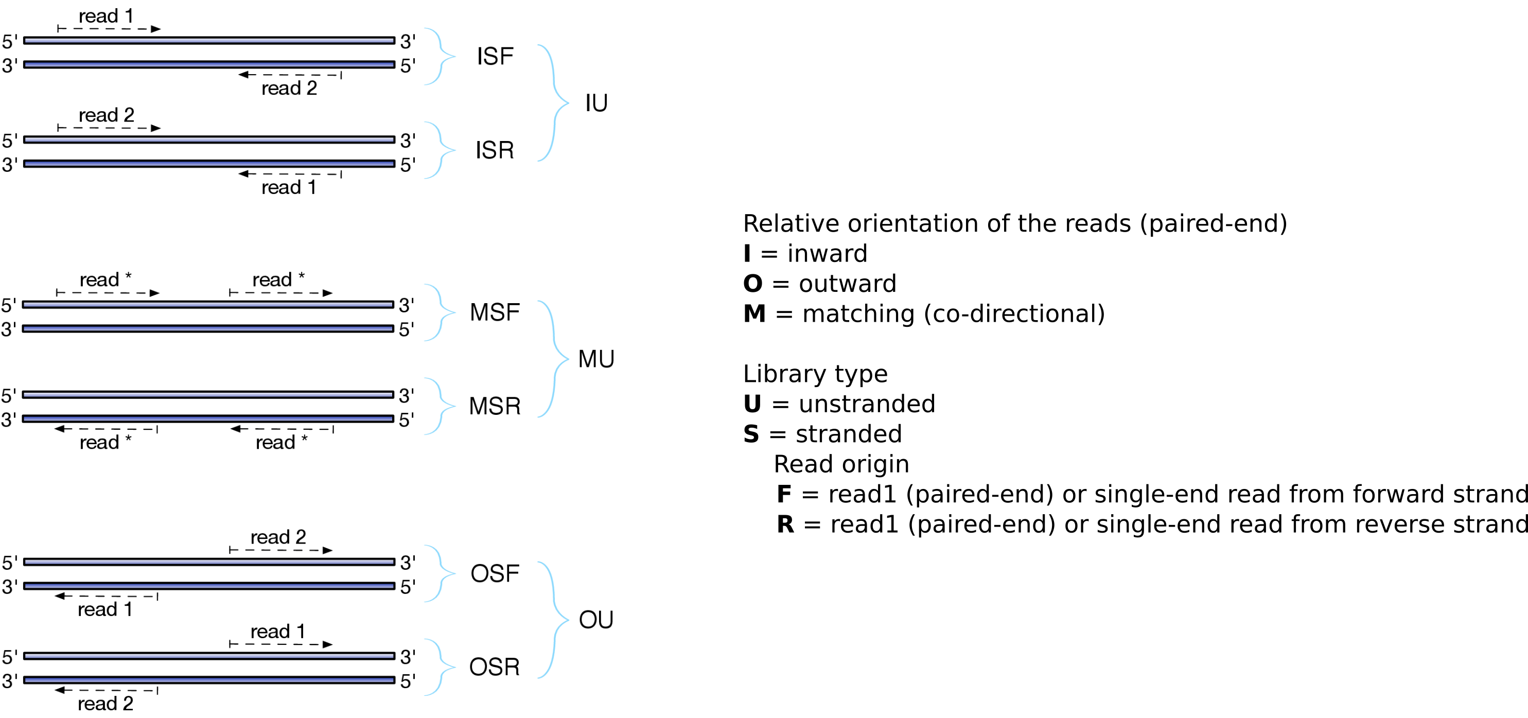 Effects of RNA-Seq library types. 