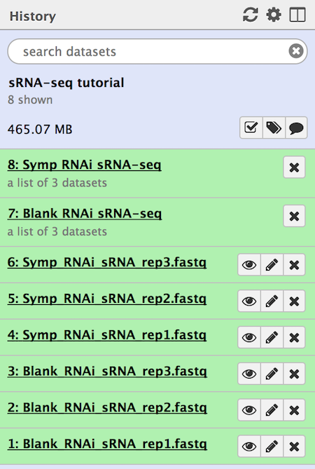 History section with all the loaded datasets. 