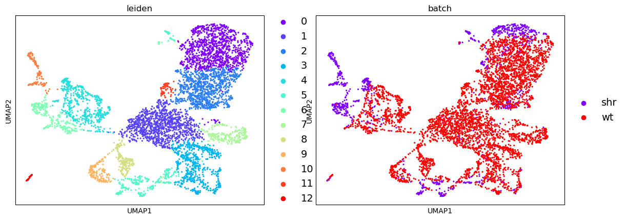 UMAP Leiden Clusters. 