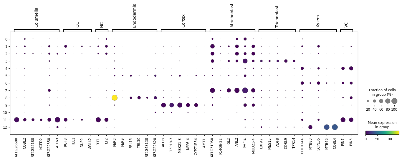 Dotplot In Analyssis. 