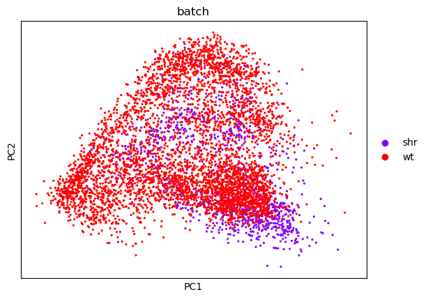 PCA. 