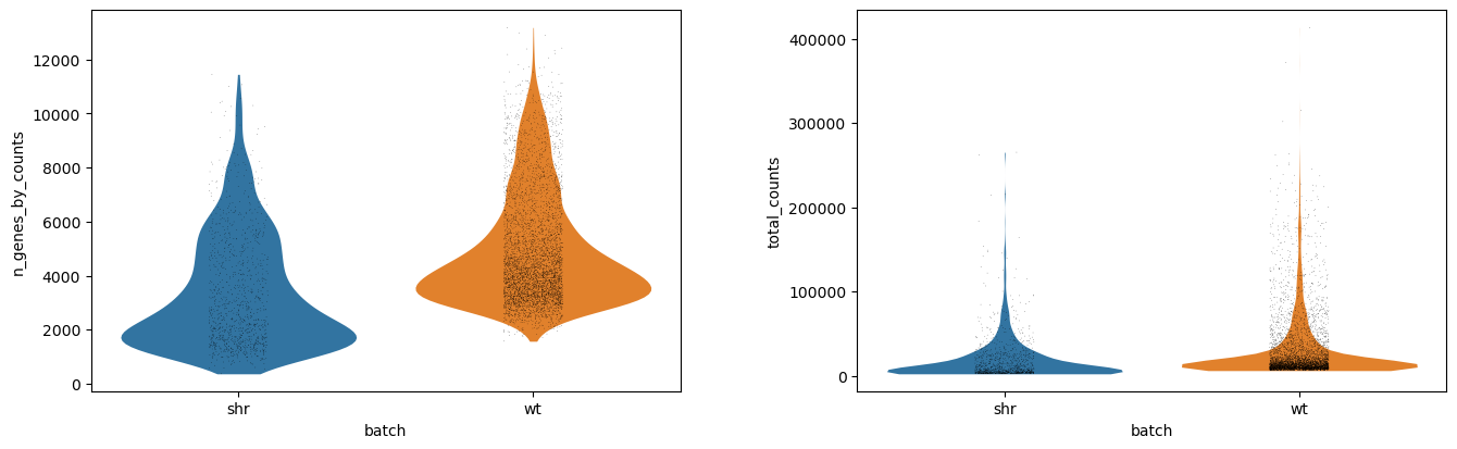 "Violin Plots per Batch". 