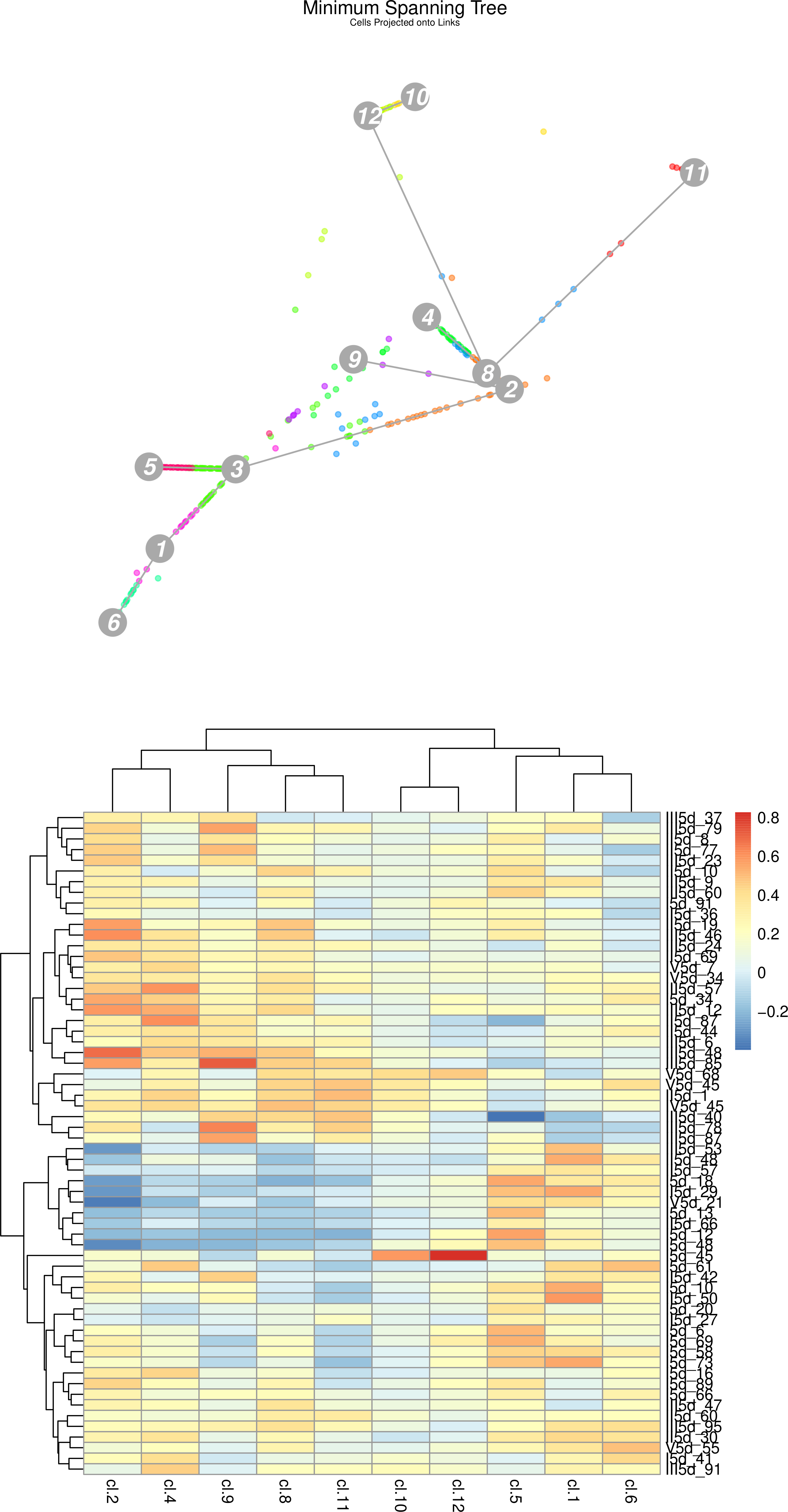 Heatmap Cells. 