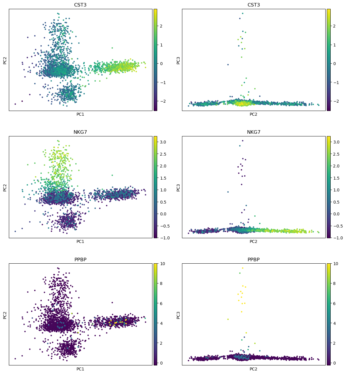 PCA scatter for CST3, NKG7 and PPBP. 