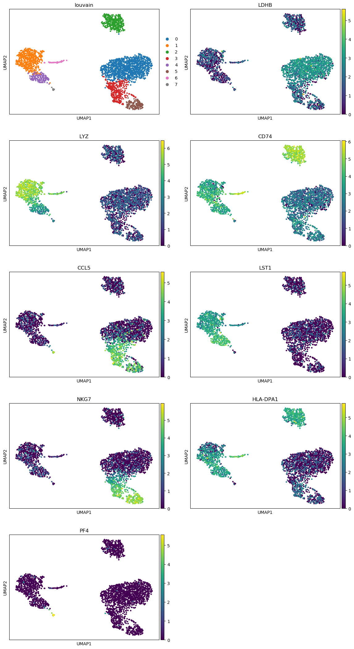 Top marker gene expression on a UMAP plot. 