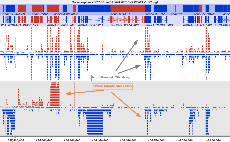 Stranded RNAseq data look like this. 