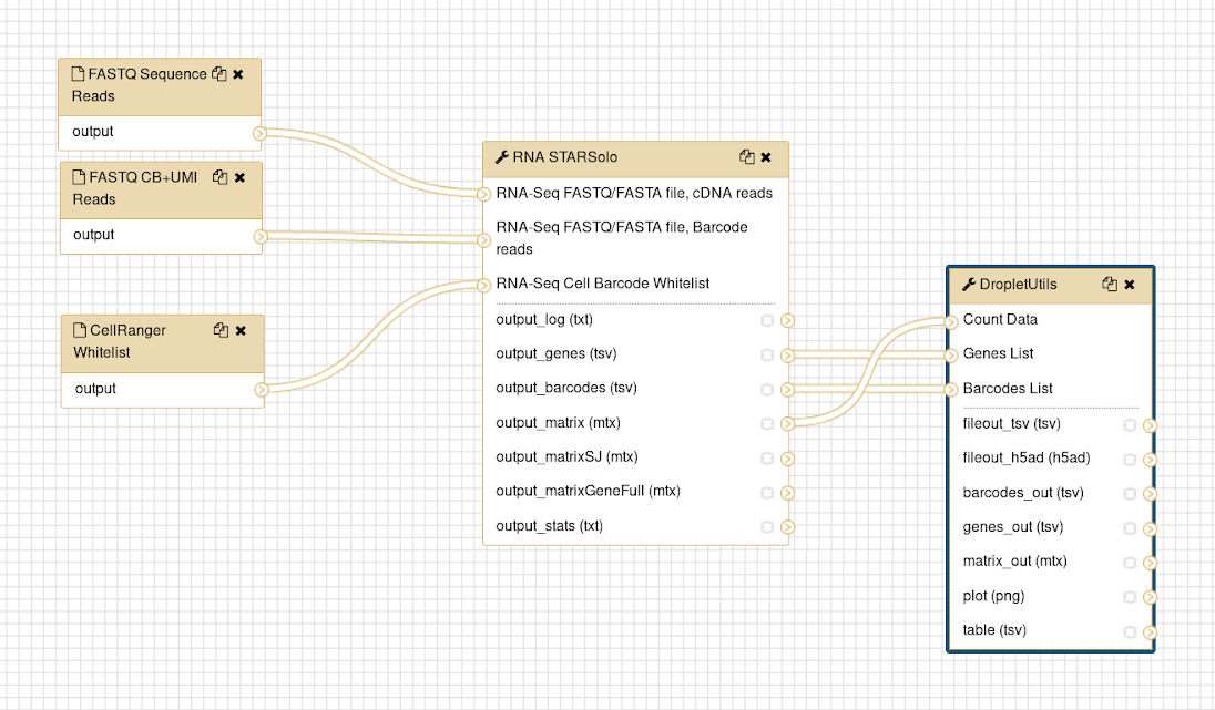 Overview of workflow. 