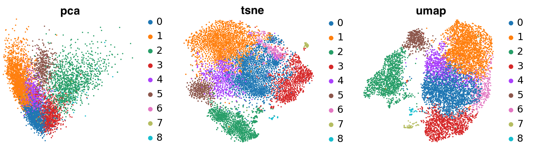 PCA-tSNE-UMAP. 