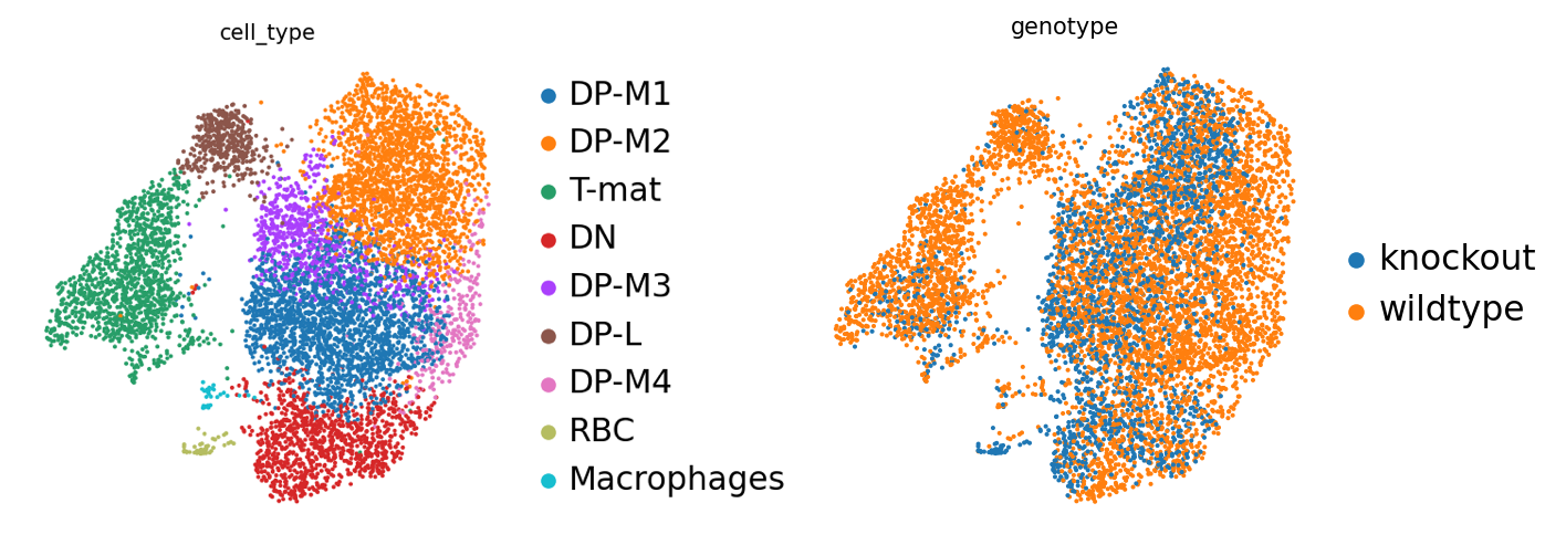 Genotype Images. 