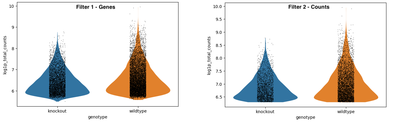 Violinplot-filtertwice. 