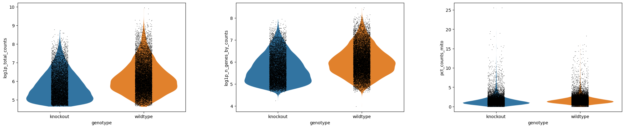 Violin - genotype - log. 