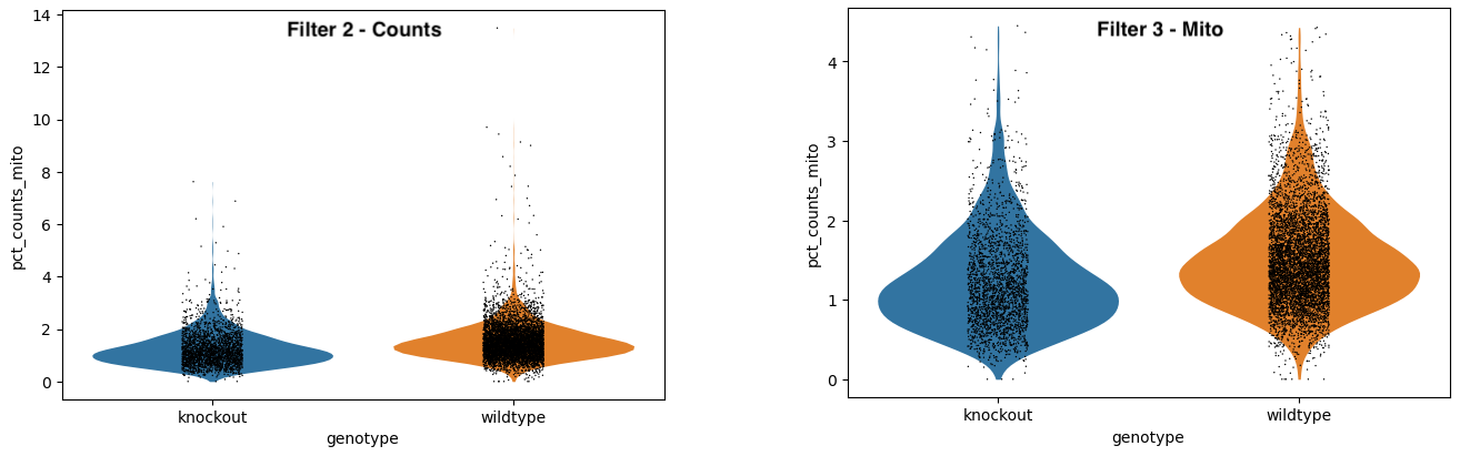 Violinplot-filtermito. 