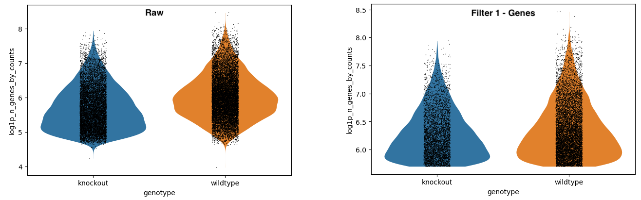 Violinplot-filteronce. 