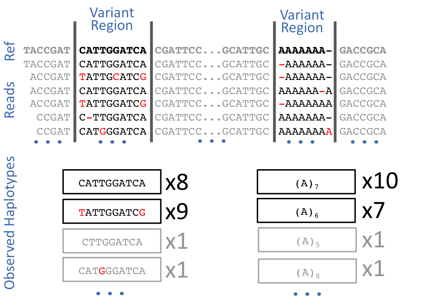 Haplotype-based calling. 