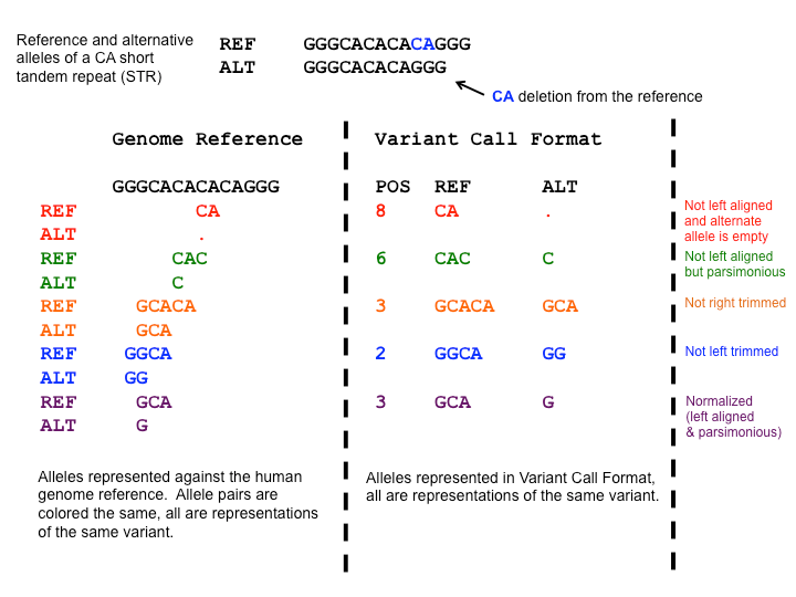 different ways to represent the same indel. 