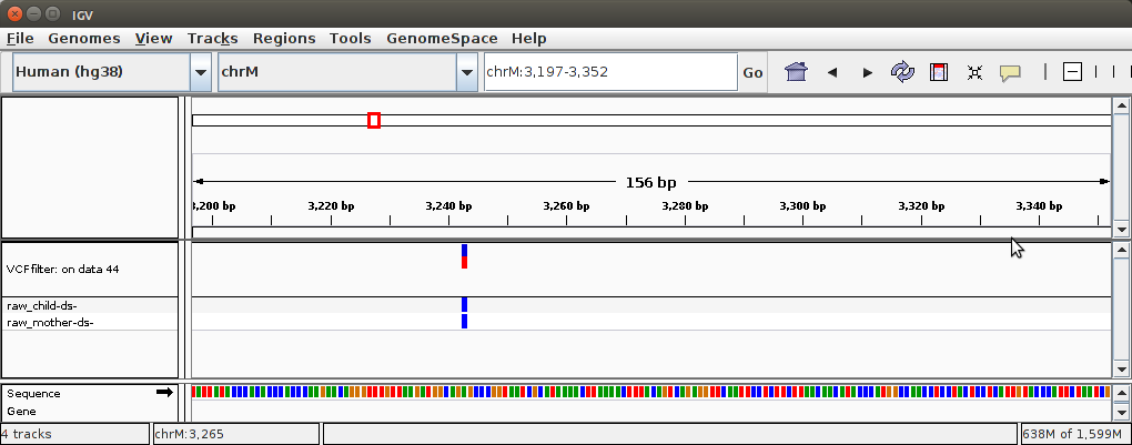 IGV interface. 