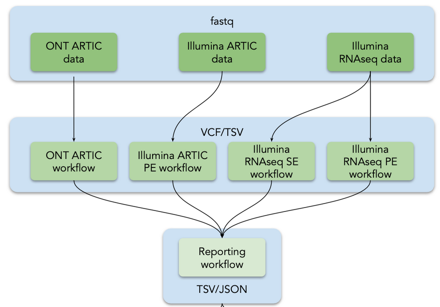 Analysis flow in the 'Mutation calling, viral genome reconstruction and lineage/clade assignment from SARS-CoV-2 sequencing data' tutorial. It teaches how to obtain, run and combine workflows appropriately for 4 different types of input data. Image adapted from covid19.galaxyproject.org