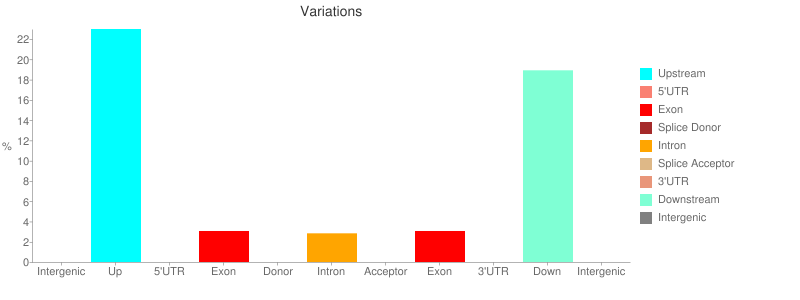 SnpEff output chart. 