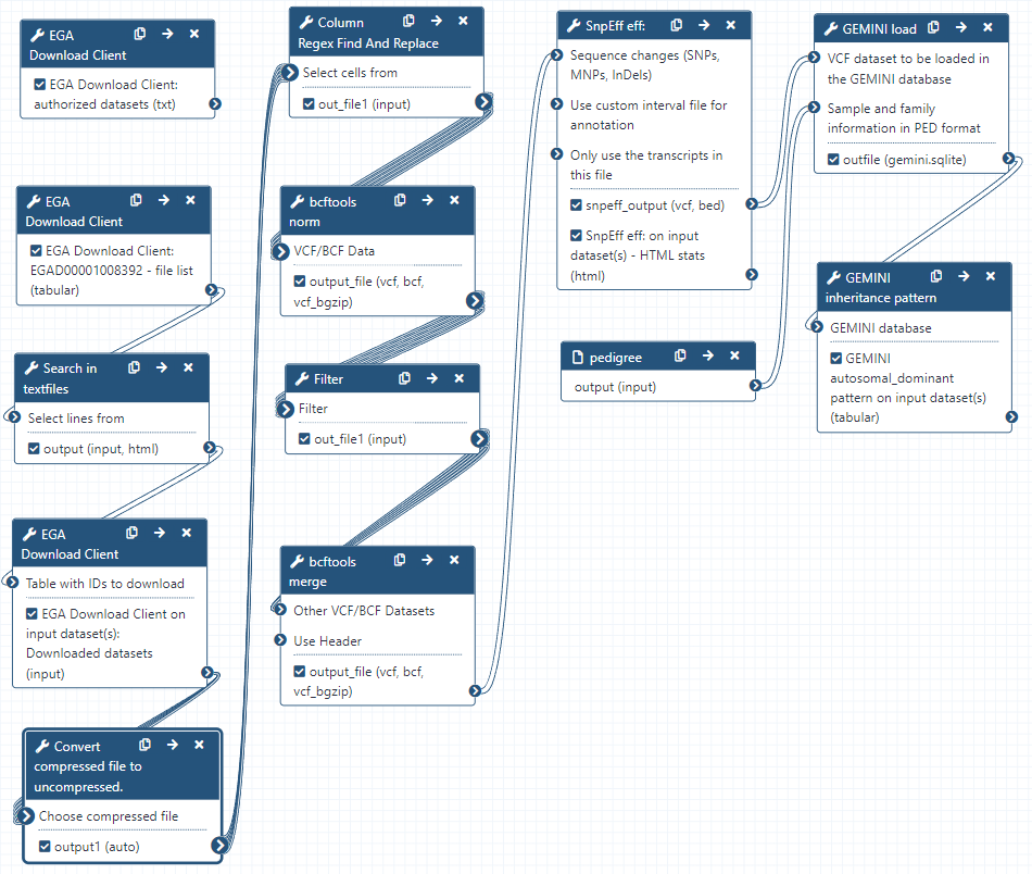 Image showing the whole workflow of the tutorial. Each seperate step is represented by a rectangular block with the tool name in the upper part in blue and the lower part shows the output in white. In the top left the workflow starts with the EGA Download Client which ouputs the authorized datasets (txt), below that again the EGA Download Client is shown which outputs the list of files in the ega dataset, which is connected to the search in textfiles tool. That tool is connected again to an EGA Download Client step where the VCFs are downloaded using the list of files from the previous tool. This step is connected to a decompress step to change the bgzipped VCFs to regular VCFs. That step is connected to a Filter step which outputs a VCF. The next connected step is the bcftools norm tool which outputs a normalized VCF. Then the normalized VCFs are processed using the Text reformatting tool. Using the output from that step the bcftools megre step is used to output a single VCF and connect it to the SnpEff eff tool. This tool annotates the VCF and that step is connected to the GEMINI load tool which is also connected to step block with the title pedigree. Then the GEMINI load tool connects to the GEMINI inheritance pattern block which outputs an tabular file called GEMINI autosomal_dominant pattern. 