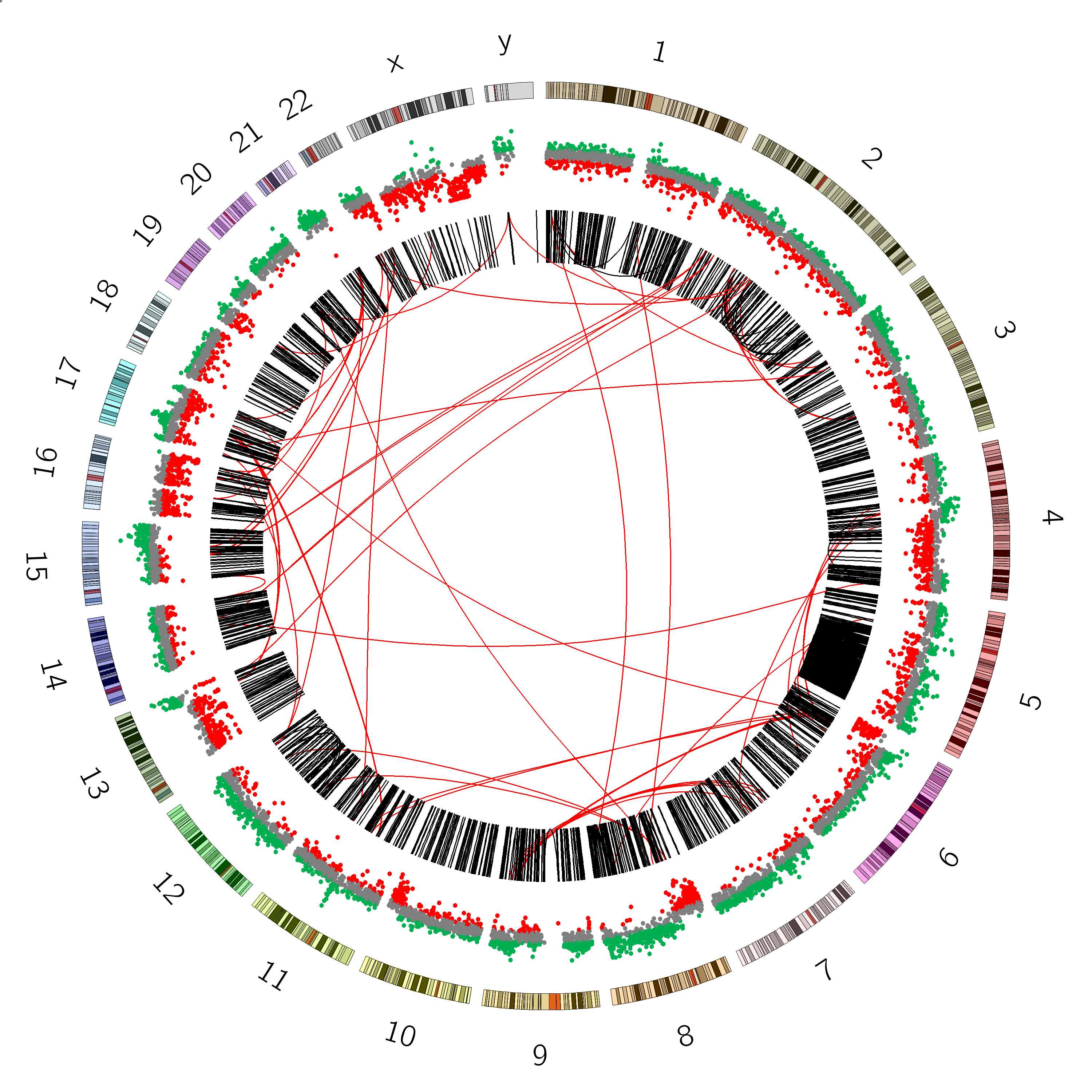 Circos plot with SNV track with rules defined. 