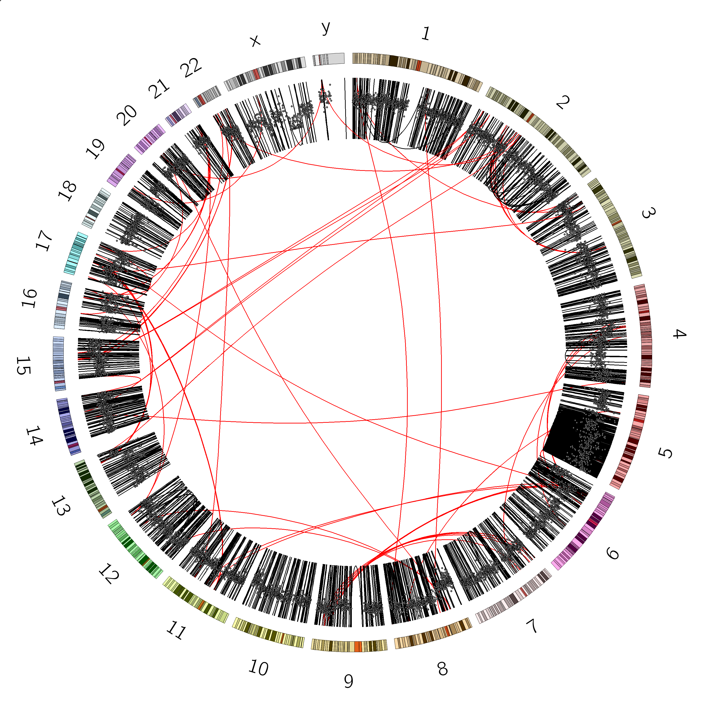 Circos plot of chromosome 5 SVs. 