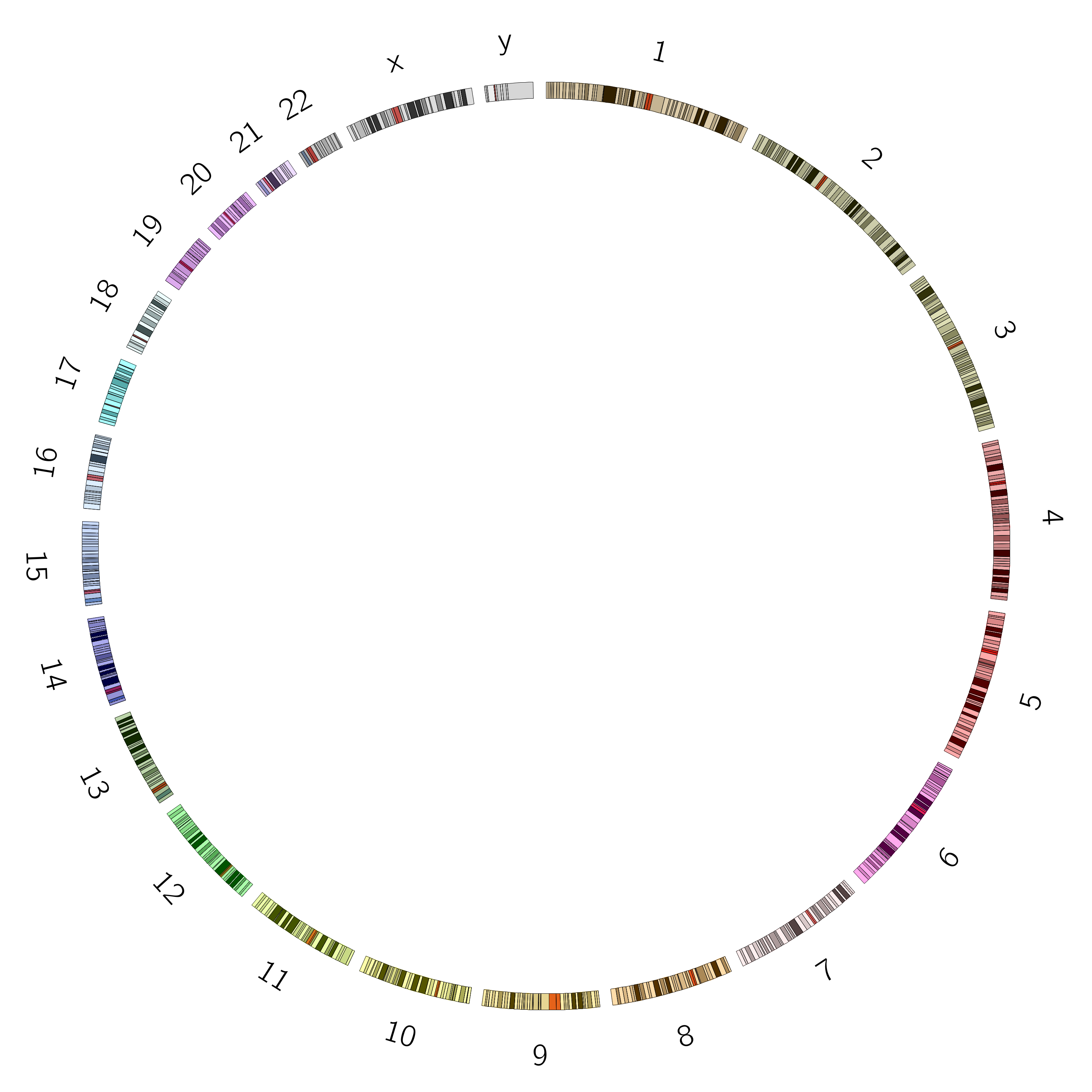 Circos output with only the ideogram. 