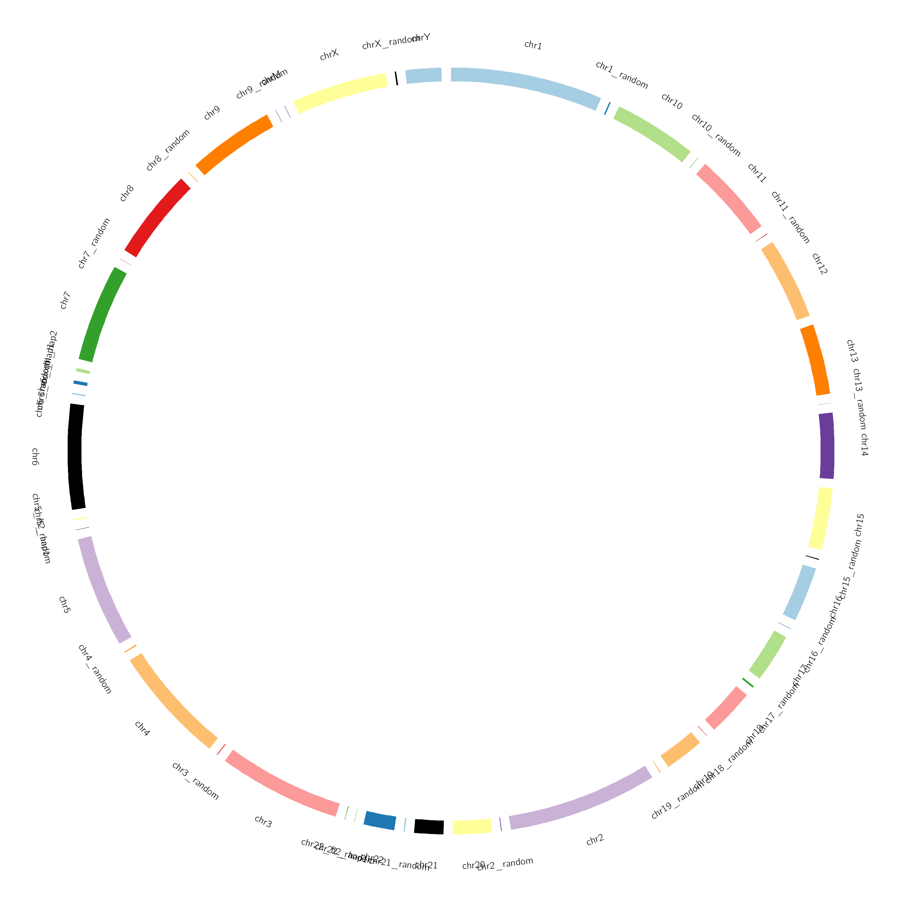 Example of ideogram generated using built-in genome definition. 