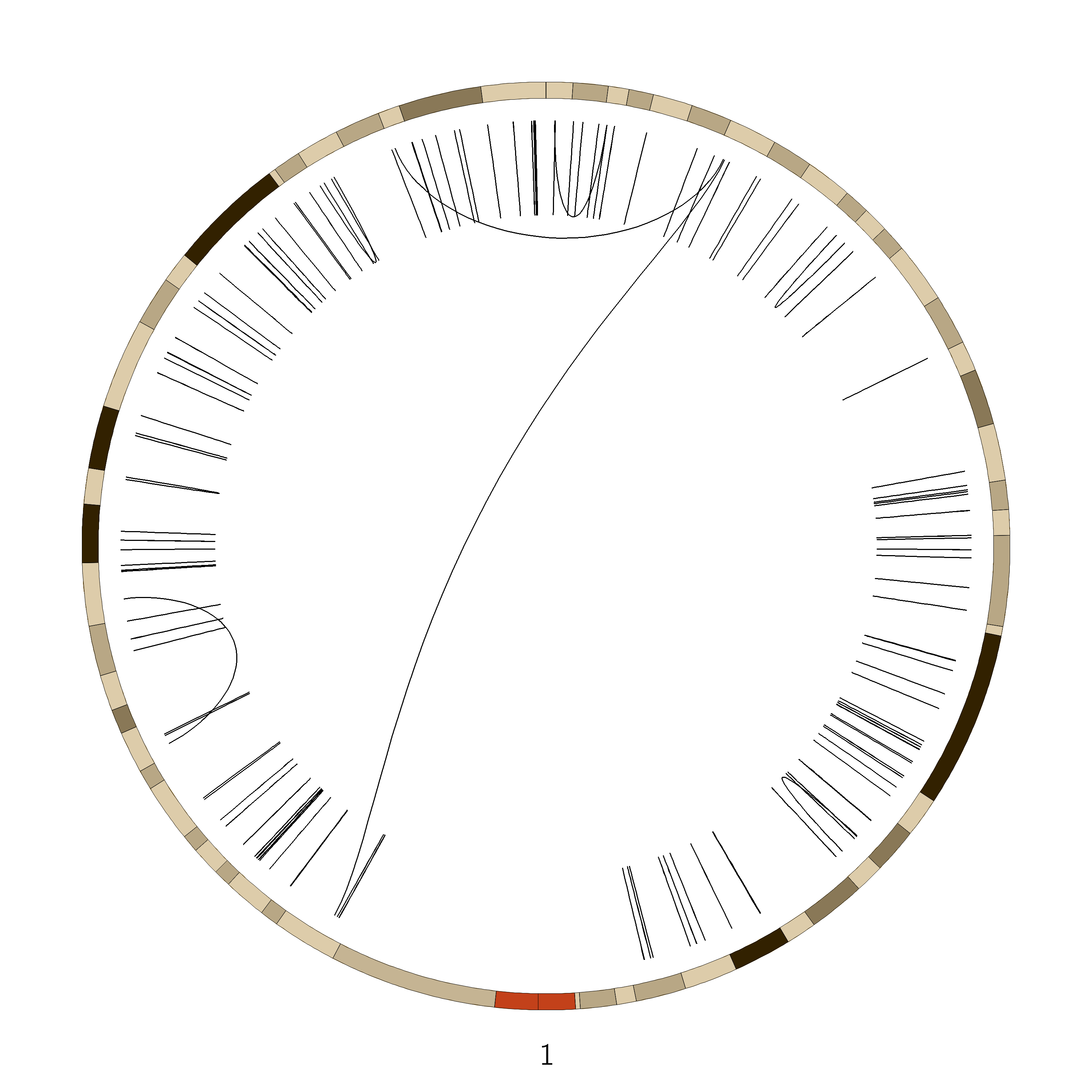 Circos plot of chromosome 5 SVs. 