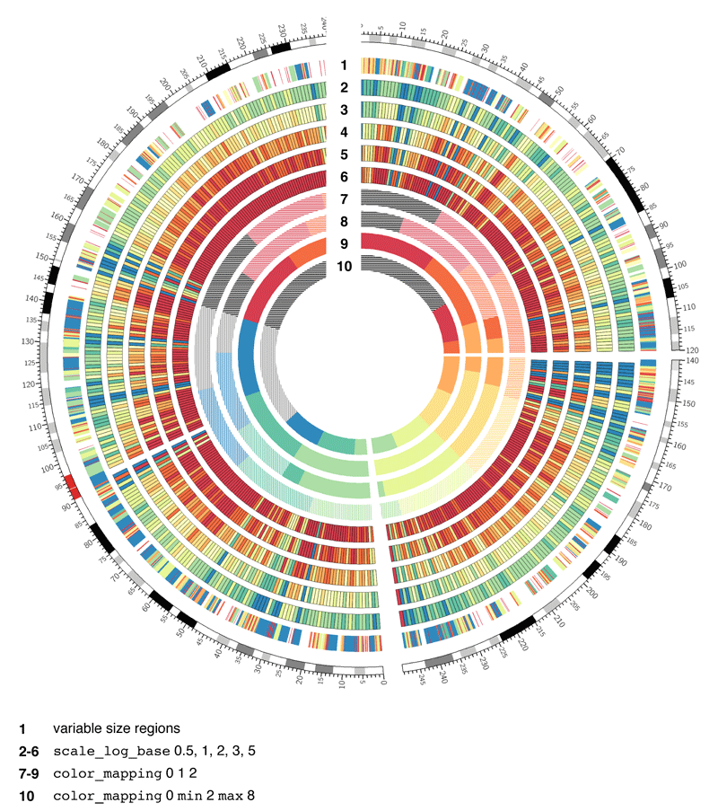 Example of a Circos Heatmap track